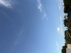 🌞