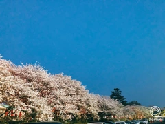 成美通信 20190408
