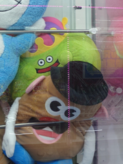 きん!