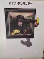 こんにちは