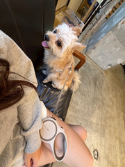 🐕