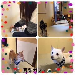 ✨初✨