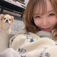 こんばんは