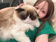ねこ