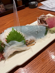 イカが不漁で中々活イ