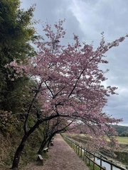 美月🌷