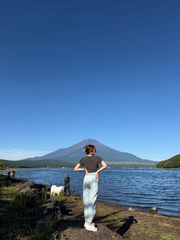 山中湖来ています