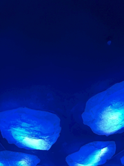 こんばんみ！