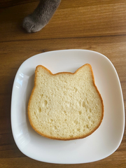 出勤します!ねこ食パ