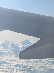 初めての空の上⛅🛬
