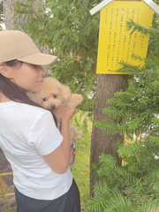 愛犬と神社⛩️