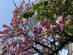 暖かい❣️
