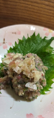★魚釣り行けたー★