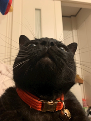 金曜日✨