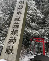 ゆきのの日記 20240419