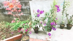 #大はしゃぎ
