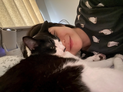 🐈⬛