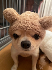 ２０２６．０８．２６ 🐶🐾