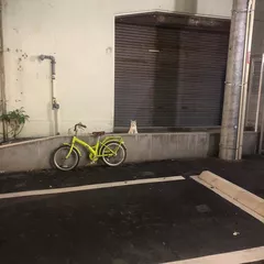 ☆ 20191003