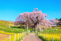 春はまだまだこれから🌸
