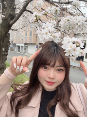 桜！🌸