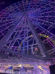 よみうりランド行ってきたよ🎡🎄