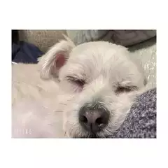 れんの日記 20260810