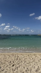 🏝️🌺