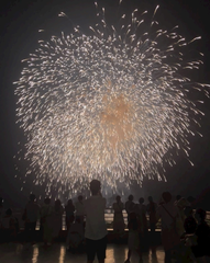 たまや～✨🎆🎇🏮❣️✨