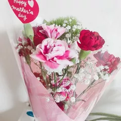 菜々花の日記 20200510