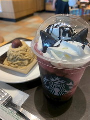 木🪄︎︎◝✩