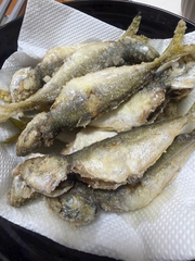 魚