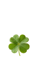 🍀