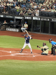 ⚾
