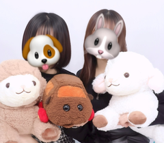 みらいたん！！