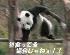 たいきん