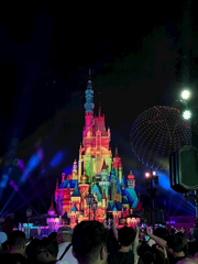 念願の🏰