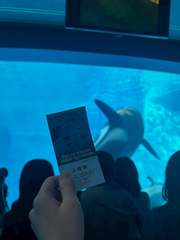 水族館