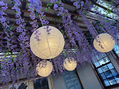 わらび餅