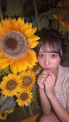 🌻 ひまわりいっぱいの展望パーク 🌻