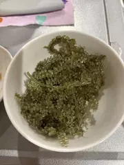 海ぶどう🍇