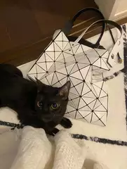 ジュンコの部屋 20250909