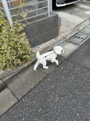 今日も涼しい！