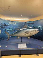 豊州🐠✨