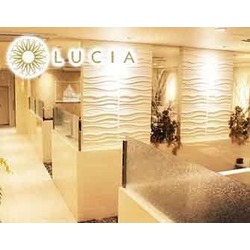 Casual Lounge LUCIA