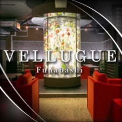 西船橋  Vellugue