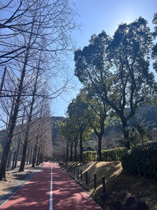 リサ|鹿児島市 山之口町のキャバクラ|HANARE(ハナレ)
