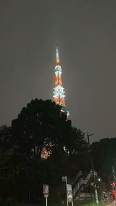 マヤ|さいたま市 大宮区仲町のキャバクラ|ai(アイ)