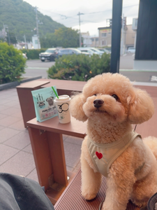 夏目 梨仔|札幌市 すすきののニュークラブ|凛()