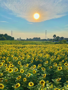 ミノリ|さいたま市 大宮区仲町のキャバクラ|ai(アイ)